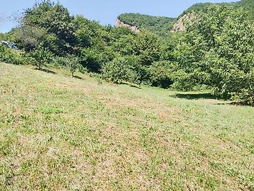 Torpaq sahələrinin satışı: Satış üçün torpaq sahəsi - Yaşıl təbiət qoynunda yerləşən, yamaclı -da lalafo.az — 5 Torpaq sahələrinin satışı: Satış üçün torpaq sahəsi - Yaşıl təbiət qoynunda yerləşən, yamaclı — 5