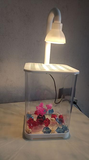 раком: Компактный настольный аквариум с LED‑подсветкой - Прозрачный — 1