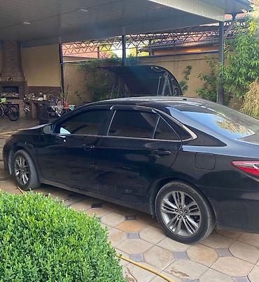 Солнцезащитные шторки и зонты: Солнцезащитный экран, Новый, Бесплатная доставка, Платная доставка, Самовывоз — 9