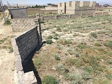 Torpaq sahələrinin satışı: 6 sot, Tikinti, Kupça (Çıxarış) -da lalafo.az — 11 Torpaq sahələrinin satışı: 6 sot, Tikinti, Kupça (Çıxarış) — 11