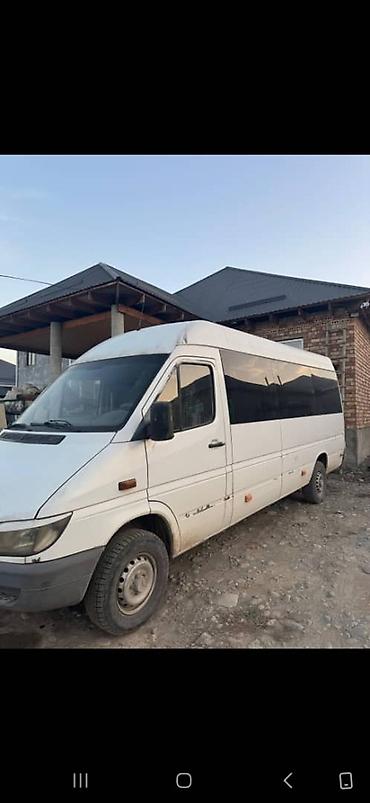rental car: Mercedes-Benz Sprinter (длинная база, высокий крыша), белый — 3