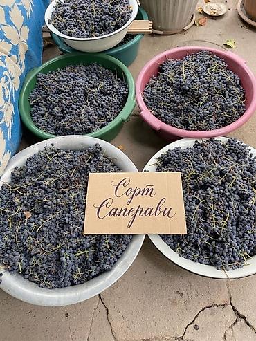 Жүзүм: Жүзүм Дүң, Чекене — 1
