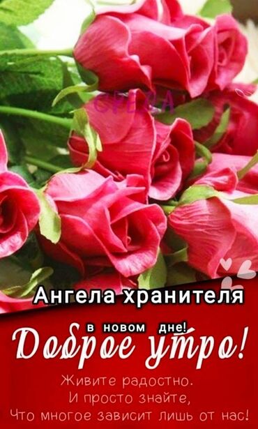 лейка садовая: Открытка/цифровое изображение для поздравления «Доброе утро» -