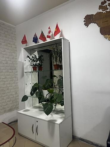 Торговое оборудование: Стеклянные витрины с нижней тумбой - Конструкция: напольная витрина с — 3