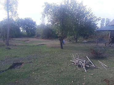 Torpaq sahələrinin satışı: 40 sot, Tikinti, Mülkiyyətçi, Kupça (Çıxarış) — 17