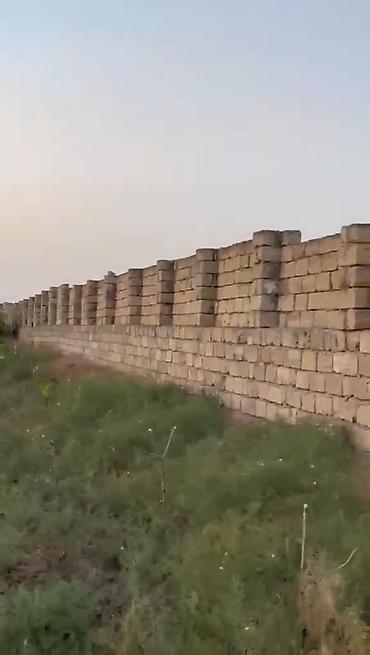 lökbatanda torpaq: 138 sot, Kənd təsərrüfatı, Mülkiyyətçi, Kupça (Çıxarış) — 7