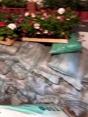 Şitillər: Qazon landşaft #qazon #torf #torf250litrlik Ekolayf #ekolayf balaken — 23