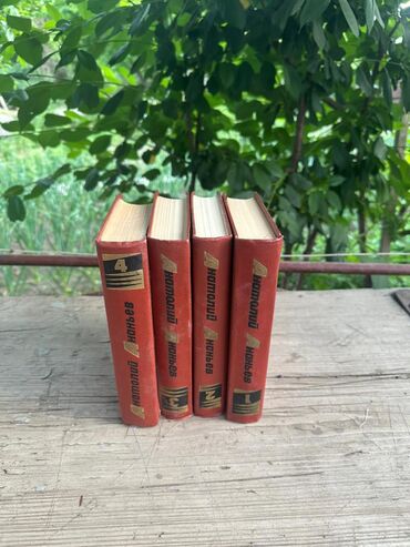 Художественная литература: Классика, На русском языке — 8