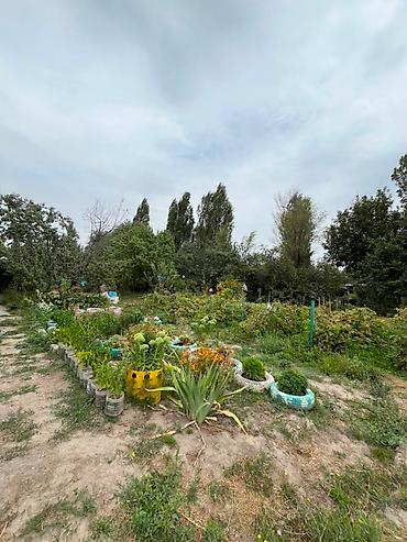 сел: Продается дом с большим участком в Новопокровке район Крупской Цена — 3