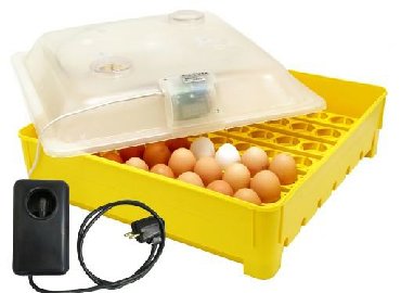 Tamamilə Orginal Smart(ağıllı) Ən son model İnkubatorların Birbaşa