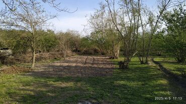 Bağ evlərinin satışı: Xudat, 170 kv. m, 3 otaqlı — 2