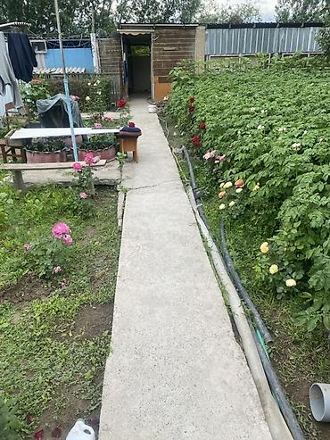 Продажа коттеджей и домов: **СРОЧНО ДАЧА САТЫЛАТ** 📍 Милянфан дачасы 🏠 100 м² | 🌳 6 сотых 🛏 5 at lalafo.kg — 1 Продажа коттеджей и домов: **СРОЧНО ДАЧА САТЫЛАТ** 📍 Милянфан дачасы 🏠 100 м² | 🌳 6 сотых 🛏 5 — 1