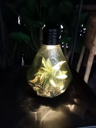 silvercrest mini rerna: VELIKA SIJALICA SA VESTACKOM BILJKOM NOVA LED LAMPA AKCIJA | Cene — 5