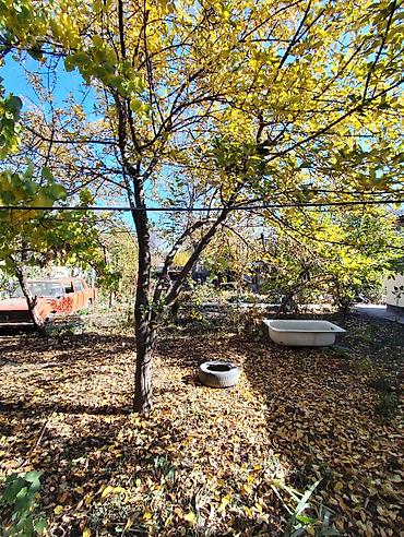 Продажа домов: Дом, 75 м², 3 комнаты, Собственник, Евроремонт — 11