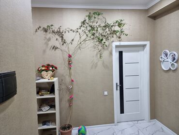 Uzunmüddətli kirayə mənzillər: Çoxmərtəbəli yaşayış kompleksində yerləşən mənzil təqdim olunur. - — 11