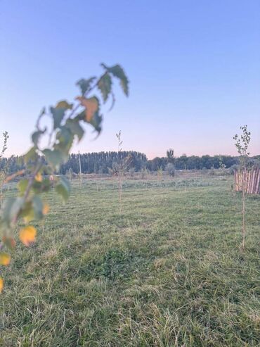 Продажа участков: 1700 соток, Для бизнеса, Красная книга — 14