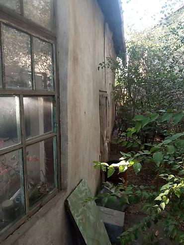 Продажа коттеджей и домов: Продаю дом 65кв, участок 5,8сот. Электричество 1фазное и 3х фазное — 6