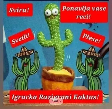only jakne: Kaktus razigrani plišani Dobro došli u Davidov shop online market — 1