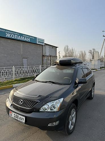 Lexus: Lexus RX: 2004 г., 3.3 л, Кроссовер — 8