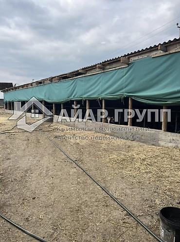 Продажа ресторанов, кафе: 🔷 Продается коммерческий объект в Кемине (Чуйская область) 🔷 Отличное — 9