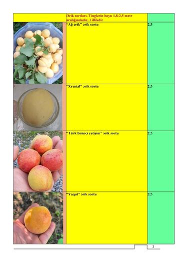 Tinglər: Meyvə və dekorativ ağac tingləri Təsvir: - Tərtər rayonu ərazisində — 13