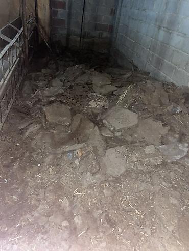 минеральные удобрение: В тоннах, Самовывоз, Платная доставка, Портер — 2