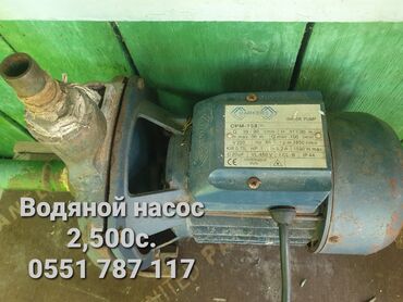 мясо в бишкеке цены: Водяной насос
г. Токмок