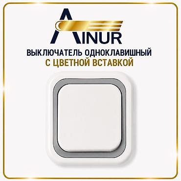 Выключатель одноклавишный с цветной вставкой ( 250-В, 50- Гц, 6-А)