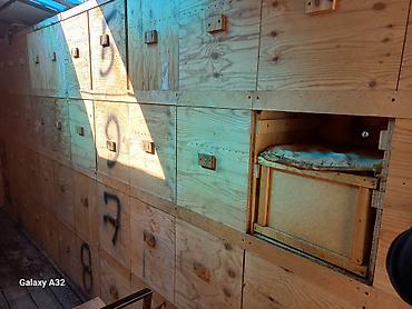 Прицепы и полуприцепы: Прицеп, Special trailer — 2