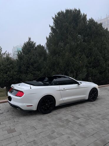 Ford: Ford Mustang: 2018 г., 2.3 л, Бензин, Кабриолет — 5