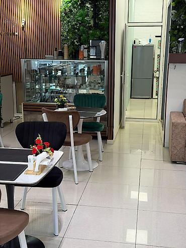 Biznes üçün avadanlıq: 28 may metrosu yaxınlığında yerləşən Jalə plaza, Gülüstan plaza, Alp — 5