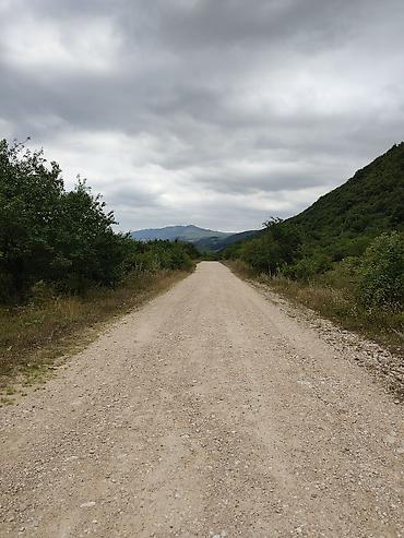 Kirayə torpaq sahələri: 100 sot Biznes üçün — 2