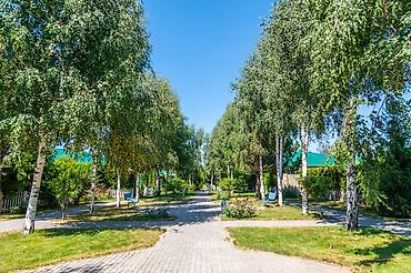 квартира однокомнатная: Аренда квартиры на Иссык-Куле, Карвен 4 сезона, Сары-Ой, 4 места, Цена Целиком за жилье — 6