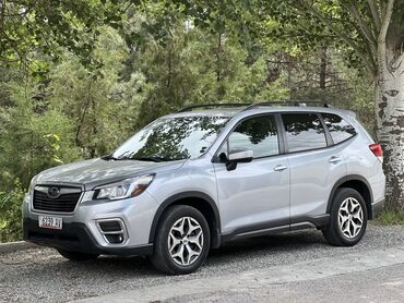 продажа форестер: Subaru Forester серебристого цвета. Этот кроссовер оснащен рейлингами