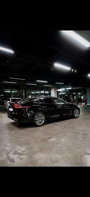 киа стрингер: Kia Stinger: 2019 г., 2 л, Автомат, Бензин, Лифтбек — 4