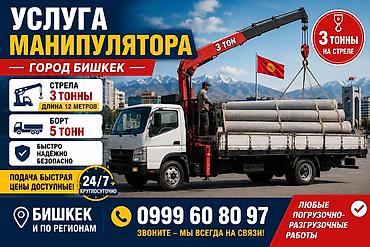 Жаанын 12 м, 3 т., Борттун 5 кг