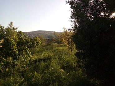 Uzunmüddətli kirayə evlər: 21 kv. m, 2 otaqlı, İnternet, Qaz, İşıq — 9