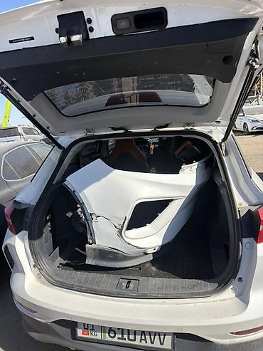 cl 63 2010: Weltmeister EX5, 2021 г., 100000 км, Передний, В наличии — 7