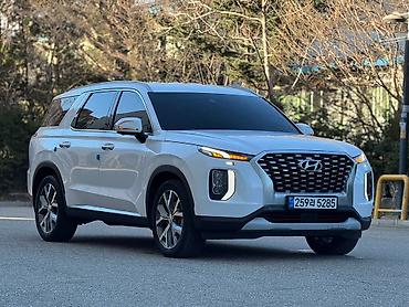 Hyundai: Hyundai Palisade: 2020 г., 2.2 л, Дизель, Кроссовер — 20