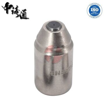 Fuel Injection Pump Plunger 4N8898 VE China Lutong is one of