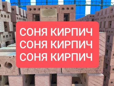жаростойкий кирпич купить: Тешиктүү, Бышкан кирпич, Жарым блок, 250×120×90
