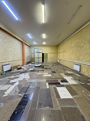 beta stores: 500 м² — 8
