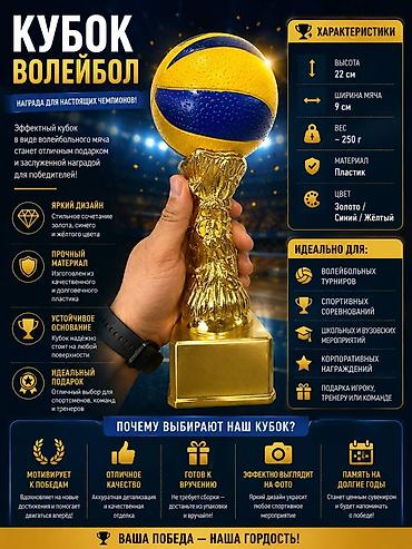 футбольный кубок: Кубок «Волейбол» — эффектная награда для чемпионов и призёров — 1