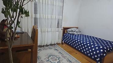 Ev üçün digər mebel: Tərkib:aleli insanara verilir seliqeliye diqet mutleqdi wekilde ne — 4