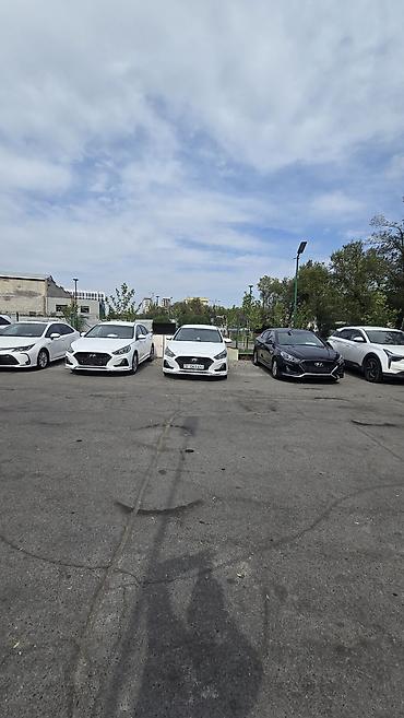 ланкрузер прода: Hyundai Sonata: 2020 г., 2 л, Автомат, Газ, Седан — 1