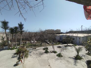 Həyət evləri və villaların satışı: Suraxanı 3 otaqlı, 5 kv. m, Kredit yoxdur, Orta təmir -da lalafo.az — 11 Həyət evləri və villaların satışı: Suraxanı 3 otaqlı, 5 kv. m, Kredit yoxdur, Orta təmir — 11