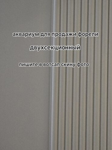 холодильный агрегат: Аквариум для продажи форели, двухсекционный. Подходит для магазинов и