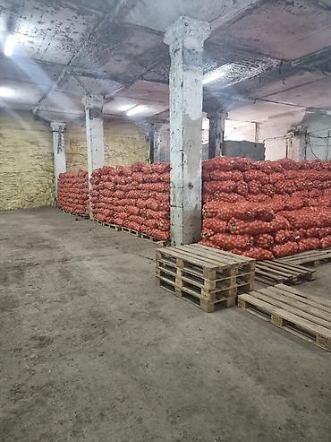 продаю кара балта: 🏢 СКЛАДСКИЕ ПОМЕЩЕНИЯ В АРЕНДУ ‼️ Сдаются в аренду большие складские — 9