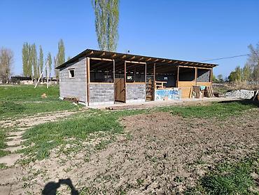 70 сом: Продаю участок с домом в с. Буденовка 20 соток 104м2+ хоз. постройки — 10
