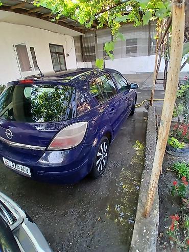 Транспорт: Opel Astra: 2007 г., 1.6 л, Механика, Хэтчбэк — 2